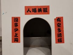 -楼上猫咖(罗湖店)