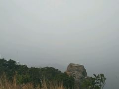 古石与新灯柱-银瓶嘴森林公园