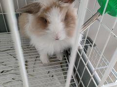 -小意思咖啡店(草桥店)