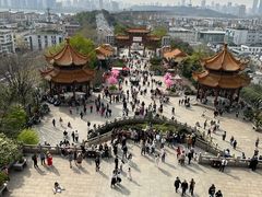-黄鹤楼公园(黄鹤楼)