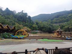 -西双版纳原始森林公园