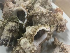 白灼老虎螺-万尾农贸市场