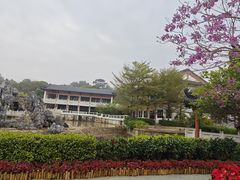 -广东花都湖国家湿地公园