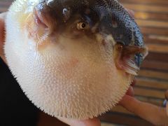 -永安鱼庄·镇江菜(丁卯店)