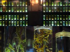-广东中医药博物馆