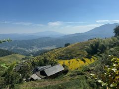 -紫鹊界梯田景区