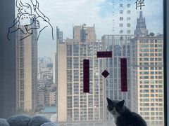 -Catmate·猫肥家润(金润铂宫店)