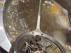 -八合里潮汕鲜牛肉火锅(吉大店)
