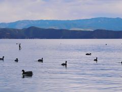 -丽江泸沽湖景区