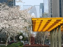 -中央公园(苏州工业园区)