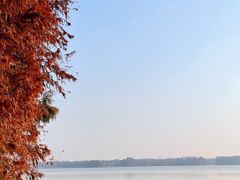 -上海海湾国家森林公园