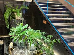 -连鹭海鲜·海肠捞饭·海胆饭(星海店)