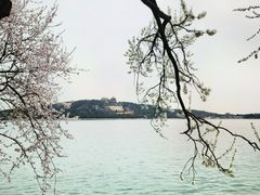 -颐和园