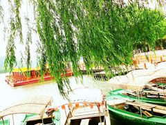 -白洋淀景区