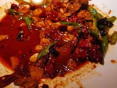 -九毛九西北菜(大东海店)