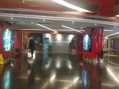 -上海金逸影城(静安大悦城店（原新恒星影城）)
