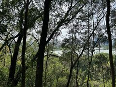 -顺峰山公园