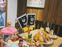 -豆柴町-柴犬主题狗咖(红鼎国际C座店)