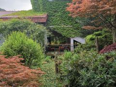 -中国茶叶博物馆(双峰馆区)
