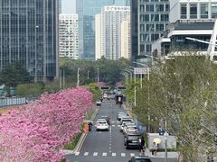-深圳湾万象城(南山店)