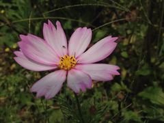 -南国桃园旅游度假区