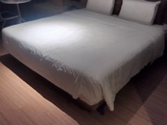 -艾豪森酒店(西安大雁塔大唐不夜城店)