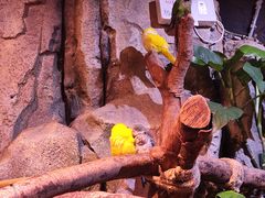-正佳雨林生态植物园