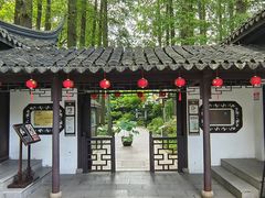 -上海醉白池公园