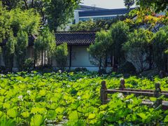 -上海醉白池公园