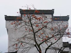 -塔川景区