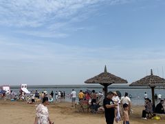-碧海金沙