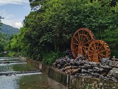 -广州白江湖森林公园