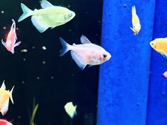 -欢乐海岸海洋奇梦馆