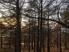 -白草畔自然风景区