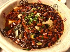 -陈麻婆豆腐总店