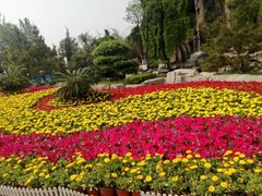 -济南植物园