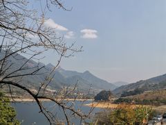 -广州市流溪河国家森林公园
