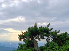 -天津盘山风景名胜区