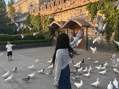 -大同方特欢乐世界