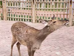 -水上乐园·欢乐世界