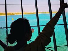 -抱抱地球咖啡馆(国家海洋博物馆店)