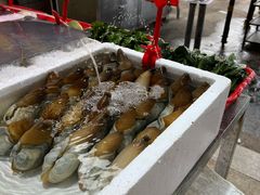 -蚝专家(北滘店)