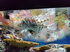 -东方明珠老上海8号餐厅(东方明珠广播电视塔店)