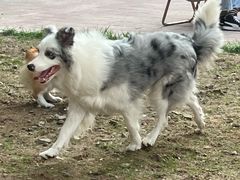 -小意思咖啡店(草桥店)