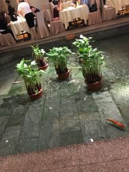 -惠食佳·宴会厅(滨江西路店)