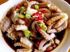 捞汁八爪鱼-地方名吃海鲜大馅蒸饺(北戴河店)