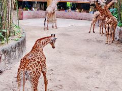 -长鹿旅游休博园