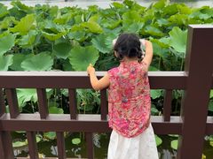 -西海子公园