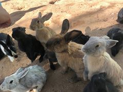 -鄂尔多斯野生动物园