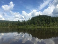 -五营红松林海景区